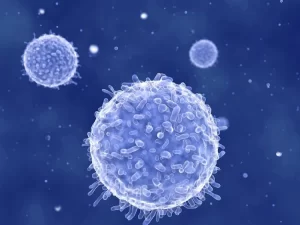 The basics of Immunology