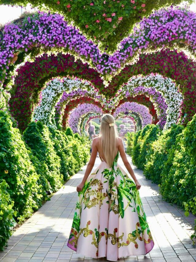 Dubai Miracle Garden interior The Biggest Floral Garden in the World
