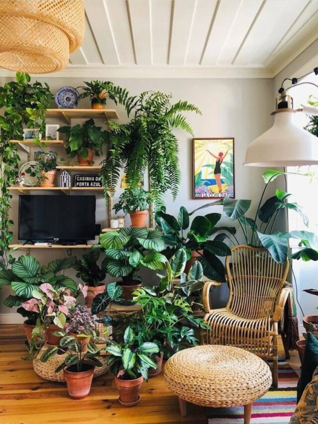 7 ways for showing houseplants while decorating with plants