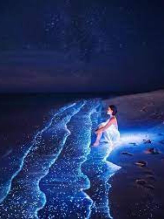 5 Amazing place to visit in Maldives